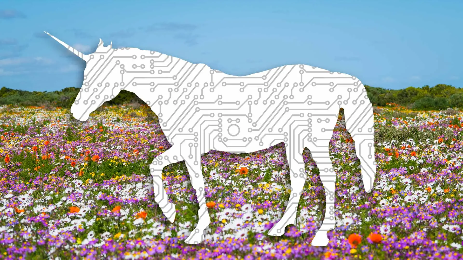 AI Unicorns Soar Without Products or Revenue, Prompting Bubble Fears