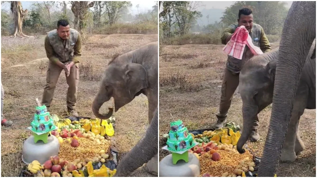 Heartwarming Birthday: Assam Man Celebrates Pet Elephant Momo's Special Day, Video Goes Viral