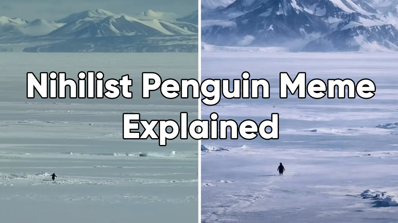 Nihilist Penguin Trend Grips Social Media, Reflects Existential Crises and Draws Political Spotlight