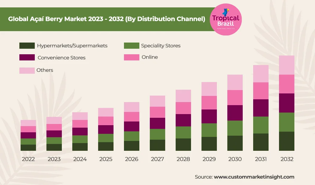Seattle Açaí Market Expansion and Consumer Demand Trends for 2024